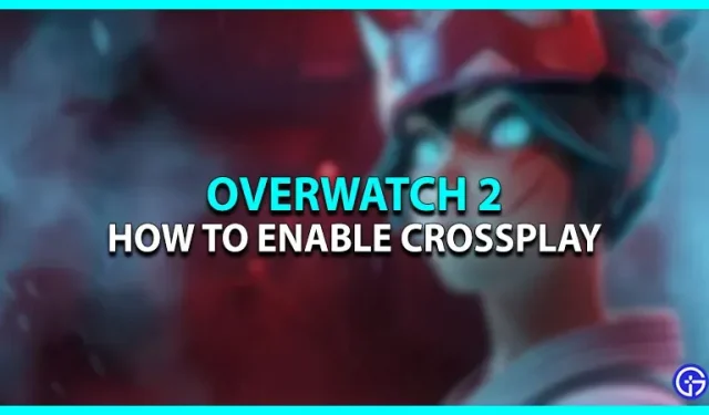 Overwatch 2 Abilita il gioco multipiattaforma: come giocare con gli amici?