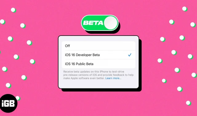 iOS 16.4의 iPhone에서 iOS 베타 업데이트를 활성화하는 방법