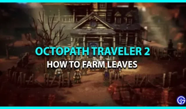 Las mejores formas de cultivar hojas en Octopath Traveler 2