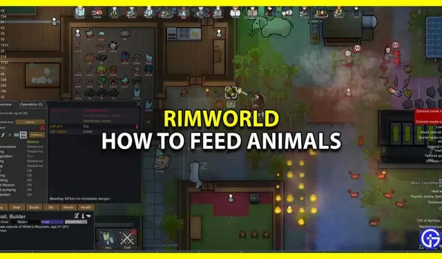 RimWorld: como alimentar os animais