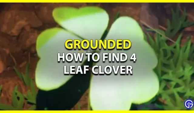 Grounded: Cómo encontrar un trébol de cuatro hojas