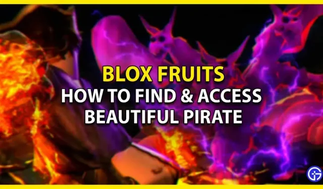 Pohledný pirát v Roblox Blox Fruits: kde ho najít (umístění)