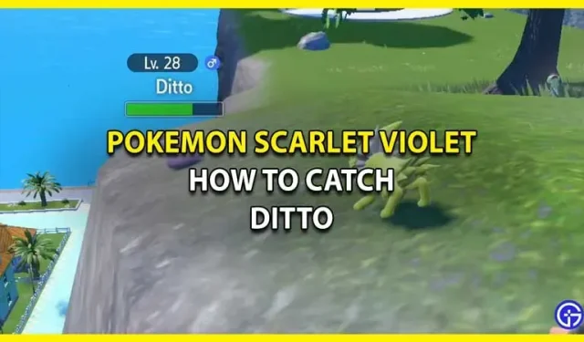 Kuinka saada sama kiinni Pokemon Scarlet & Violetissa (temppuopas)