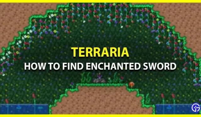 So finden Sie in Terraria ein verzaubertes Schwert