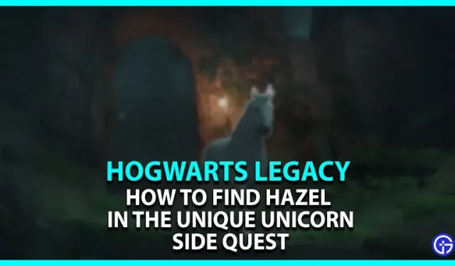 How to find Hazel in Hogwarts Legacy?