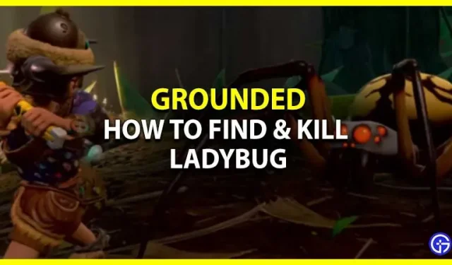 Grounded: cómo encontrar y matar a una mariquita