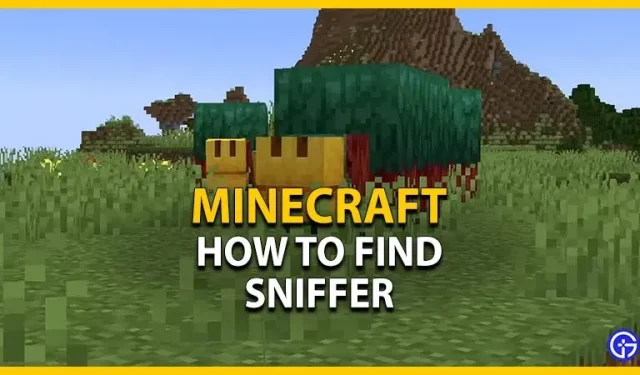 Hoe een sniffer te vinden in Minecraft