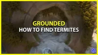 Grounded: how to find termites