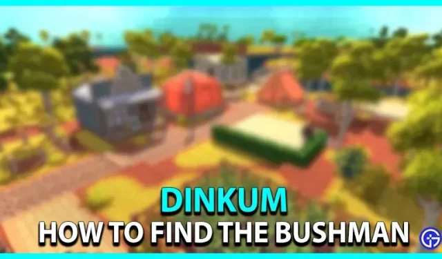 Dinkum: How to find the bushman