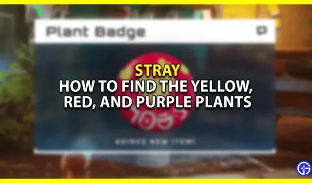 Stray Capítulo 9: Como encontrar plantas amarelas, vermelhas e roxas