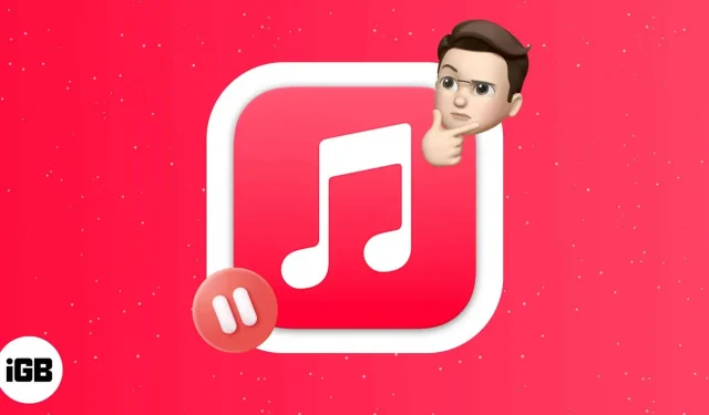 Apple Music holder pause på iPhone? 13 måder at løse det på!