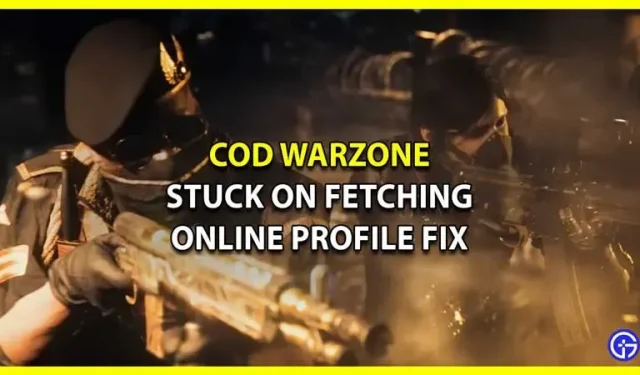 Call Of Duty (COD) Warzone bloqué lors de l’obtention d’un profil en ligne (correctif)