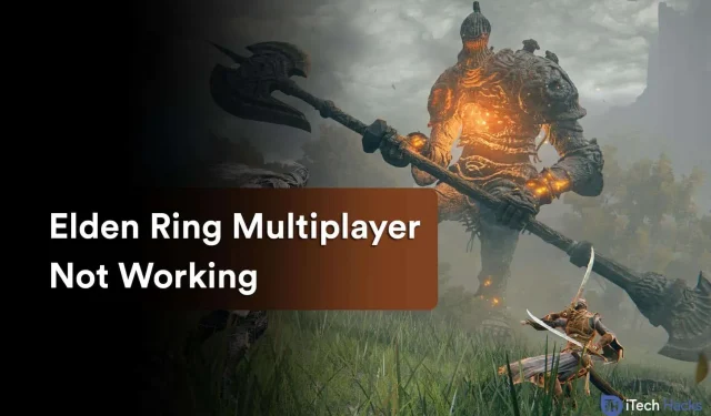 Come riparare il multiplayer di Elden Ring che non funziona