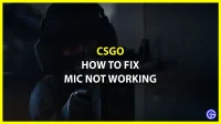 CSGO: Mic Not Working Fix (2022)