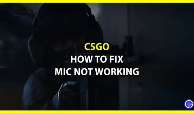 CSGO: Fehlerbehebung für das Mikrofon funktioniert nicht (2022)