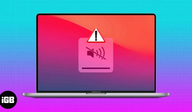 Sådan løses problemer med lyden, der ikke virker på MacBook