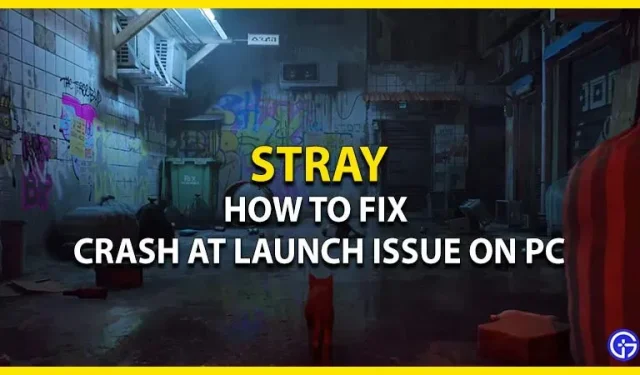 Stray – Kuinka korjata kaatuminen käynnistyksen yhteydessä PC:llä