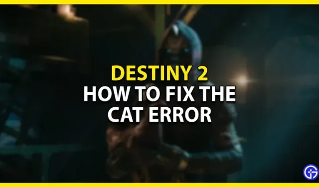 Destiny 2 guia de insetos para gatos