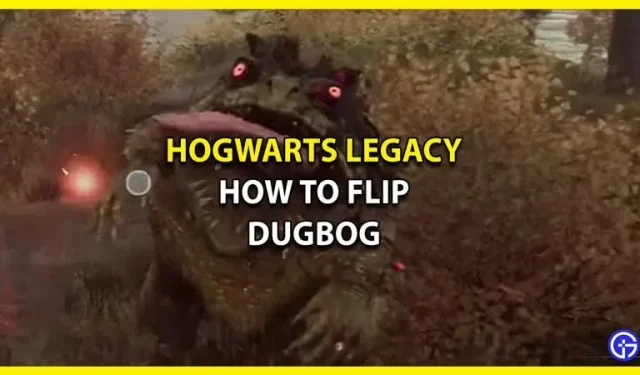 Przewodnik językowy Hogwarts Legacy Dagbog: Jak odwrócić Dagboga