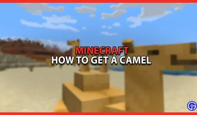Wie bekomme ich ein Kamel in Minecraft?