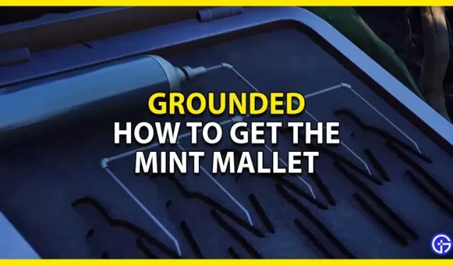 „Mint Hammer“ įžeminimo vadovas: kaip gauti „Mint Mace“.