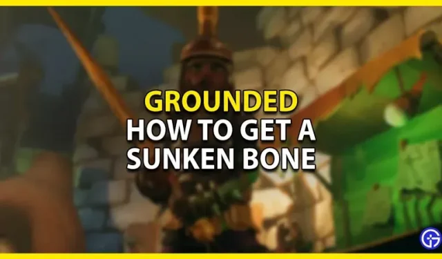 Grounded: comment obtenir un os enfoncé