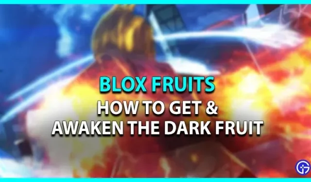 Blox Fruits: donkere vruchten krijgen en wakker maken