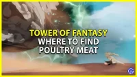 Tower Of Fantasy: where to find poultry meat (locations on the map)