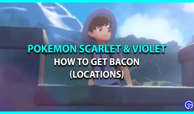 Pokemon Scarlet & Violet에서 베이컨을 얻는 방법