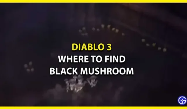 Diablo 3 で黒いキノコを見つける場所 (場所ガイド)