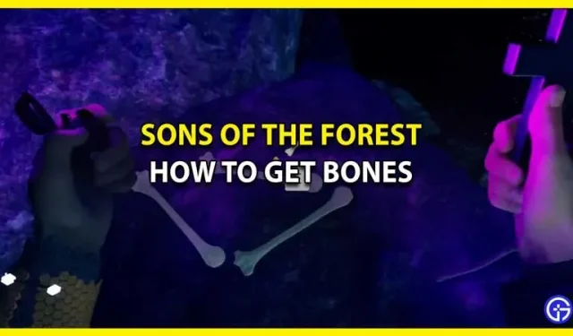 Come coltivare ed estrarre le ossa in Sons Of The Forest