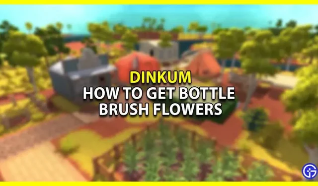 Wie man bei Dinkum Blumen aus einer Flaschenbürste bekommt
