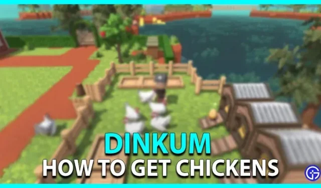 Como obter galinhas em Dinkum