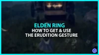 Hoe het eruditiegebaar in Elden Ring te krijgen (uitleg)