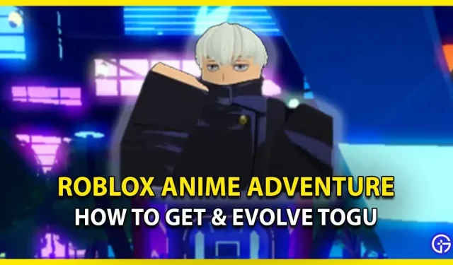 Roblox Anime Adventure의 Togu: 얻고 진화하는 방법
