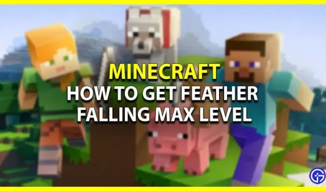 Minecraft: hvordan man får det maksimale niveau af Feather Falling