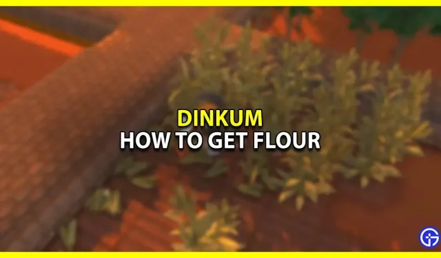 Dinkum：如何獲得麵粉