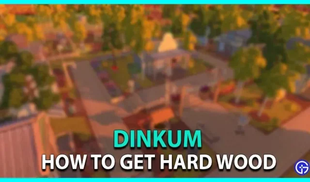 Dinkum: comment obtenir du bois dur