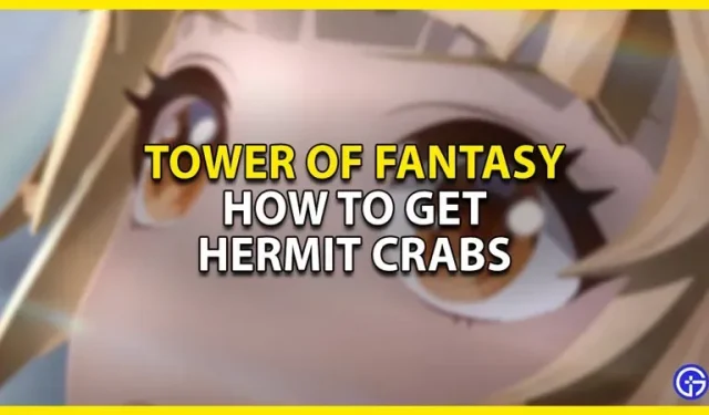 Tower of Fantasy: cómo conseguir cangrejos ermitaños