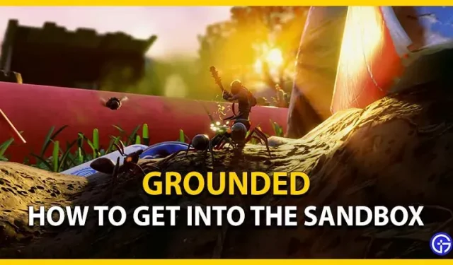 Grounded : comment entrer dans le bac à sable