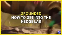 Guide to Grounded Hedge Lab: how to get into it