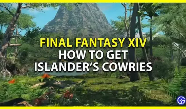 Final Fantasy XIV: Wie man den Inselbewohner Kauri bekommt
