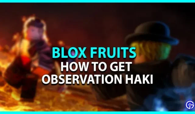 Blox Fruits: kuidas saada vaatlushäkke (värskendus)