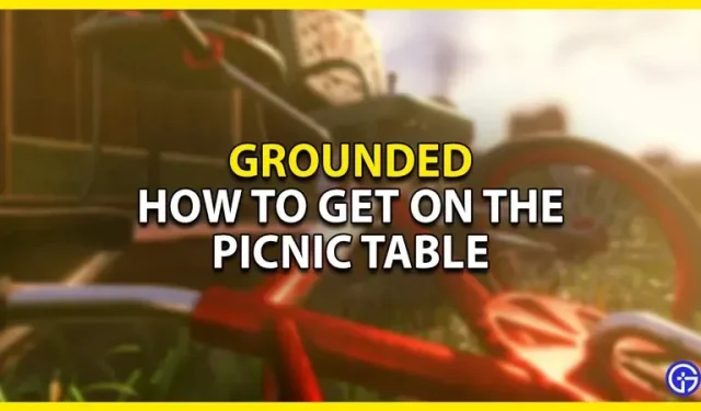 Guía de mesa de picnic conectada a tierra: cómo llegar a ella