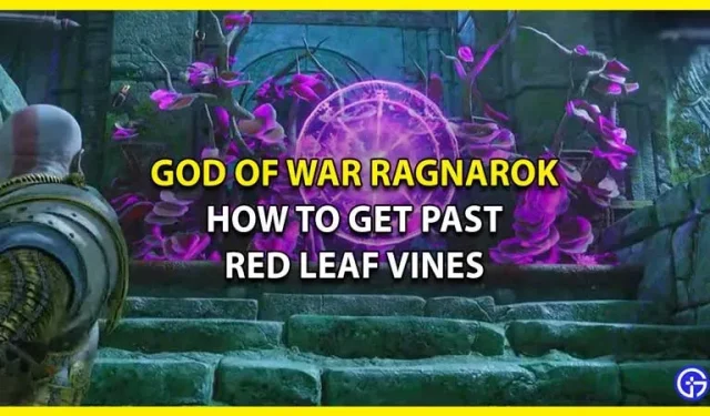 So erhalten Sie Red Leaf Vines (schwere Vines) in God Of War Ragnarok