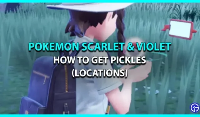 Kuidas hankida Pokemon Scarlet & Violetis kurke