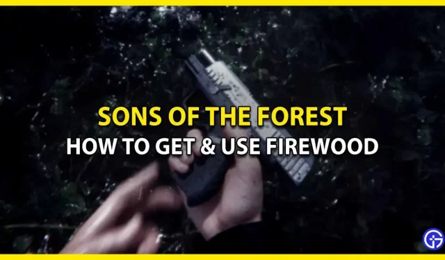 Come ottenere una pistola in Sons of the Forest (guida alla posizione)