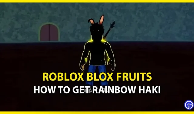 Cómo obtener hacks de arcoíris en Roblox Blox Fruits (requisitos)