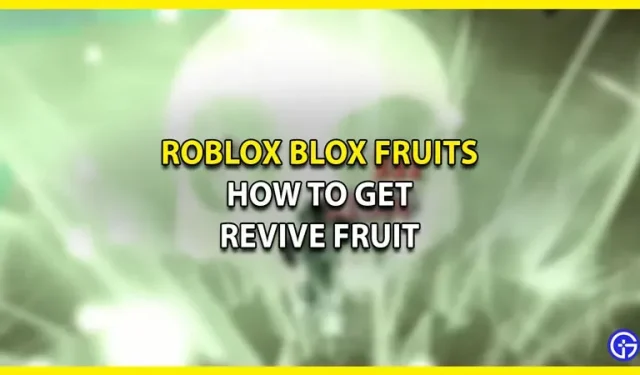 Revive Fruit Blox Fruits: kuidas hankida ja kasutada