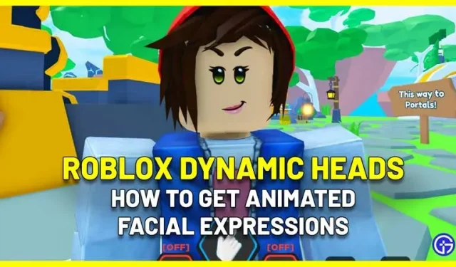 Comment obtenir des têtes et des visages animés dynamiques Roblox